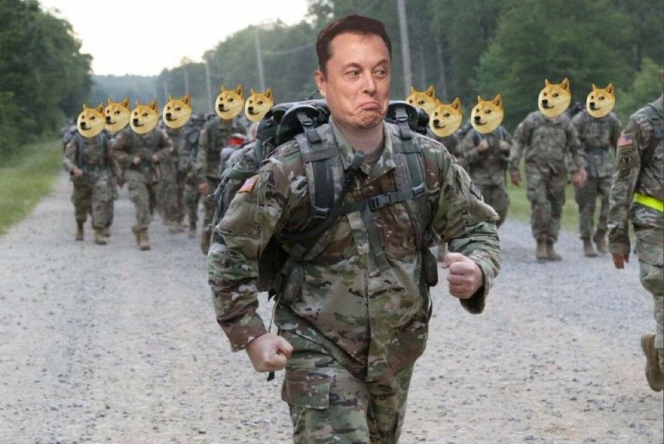 PHOTO Elon Musk With A Dogecoin Army