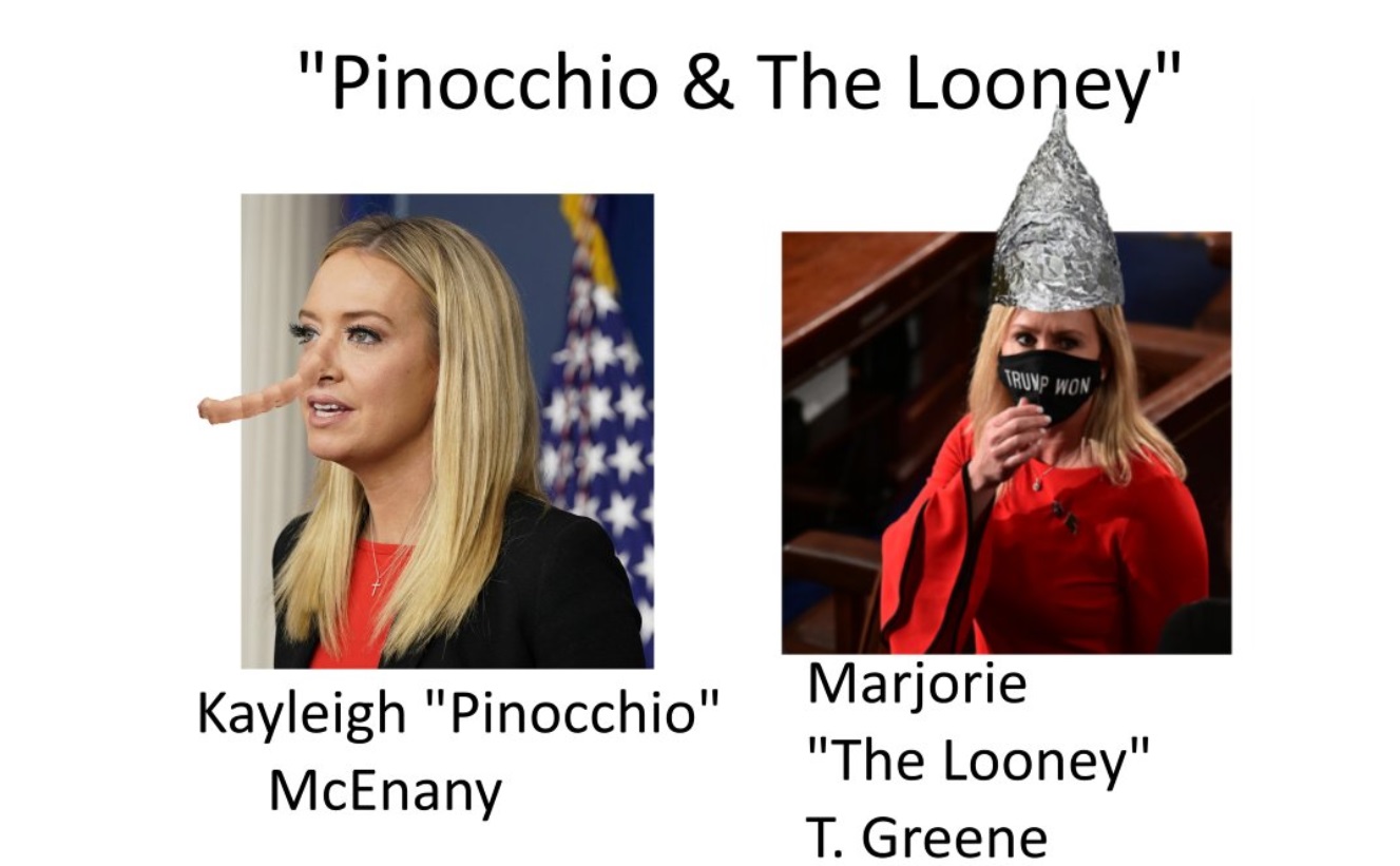 Kayleigh McEnany Meme