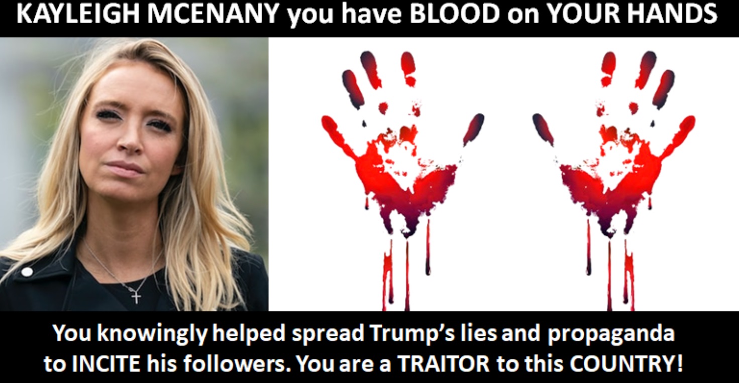 PHOTO Kayleigh McEnany You Have Blood On Your Hands Meme