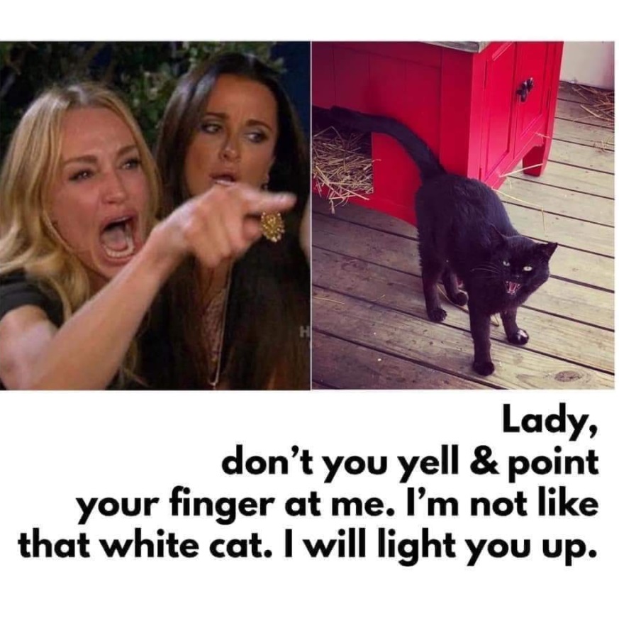 PHOTO Lady Don't You Yell And Point Your Finger At Me Courtside Karen Meme