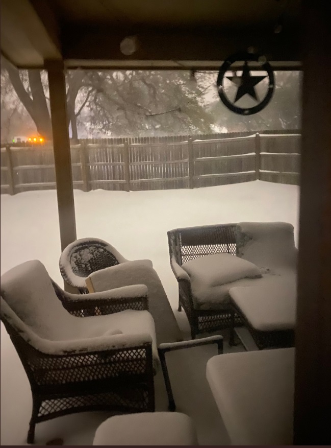 PHOTO Over A Foot Of Snow In Austin Texas