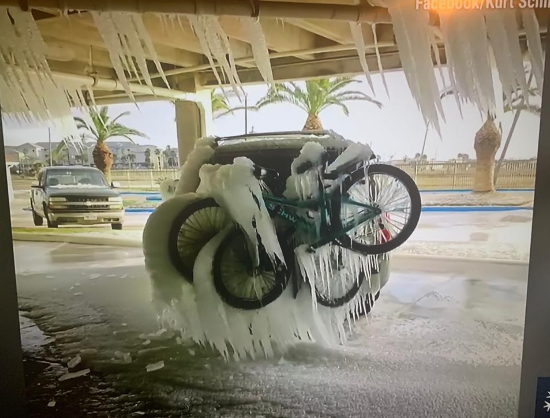 PHOTO SUV With Bicycles In Texas Mounted On The Back Frozen In Place And Palm Trees In The Background