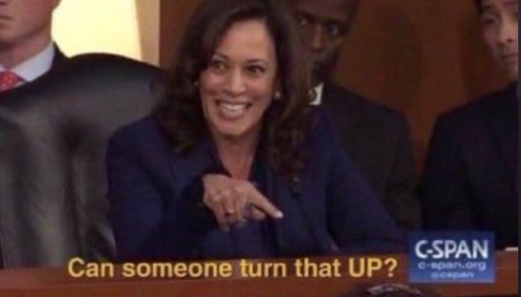 PHOTO Can Somebody Turn The Volume Up Kamala Harris Meme