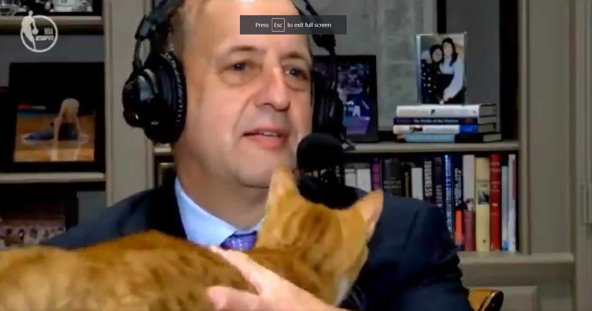 PHOTO Jeff Van Gundy's Cat Jumped Onto Screen During Clippers Mavericks ESPN Game