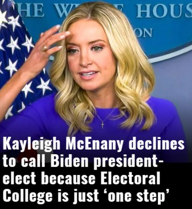 PHOTO Kayleigh McEnany Declines To Call Biden President-Elect Because Electoral College Is Just One Step Meme
