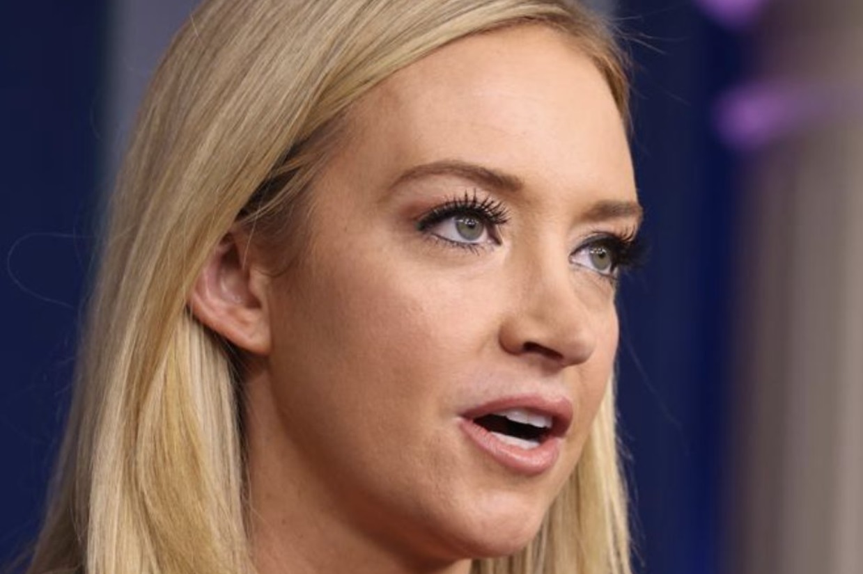 PHOTO Kayleigh McEnany Has Very Small Ears