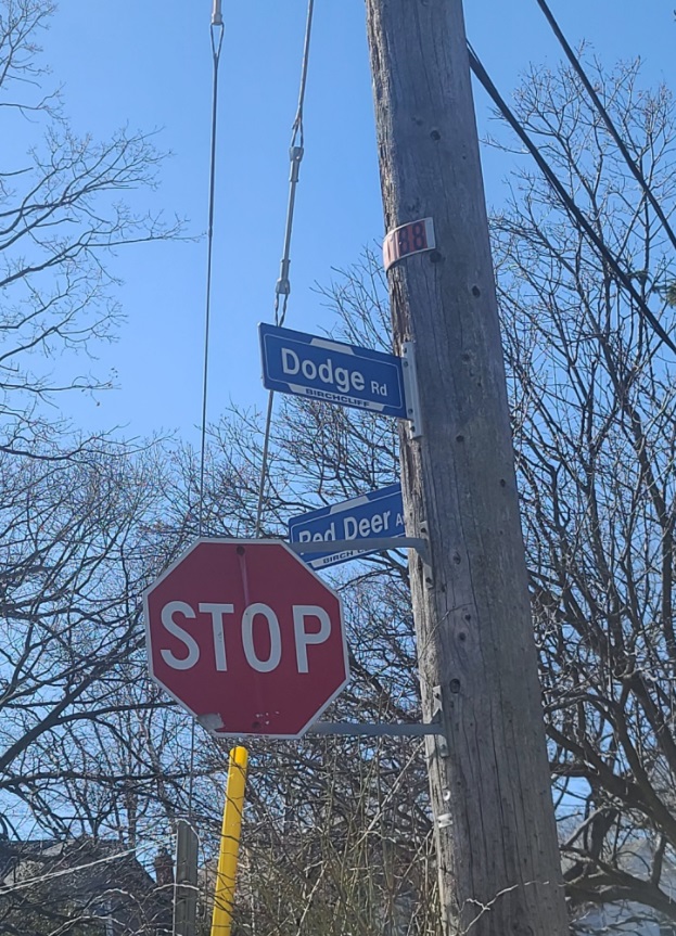 PHOTO There Is A Dogecoin Road In Toronto