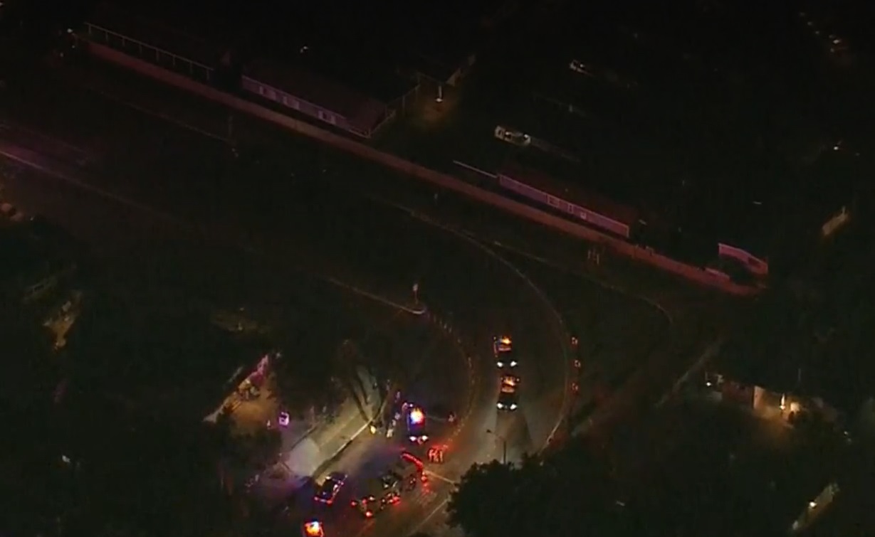 PHOTO Aerial View Of Los Angeles County Sheriff's Office Trying To Trap Cows In Neighborhood So They Don't Get Away