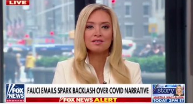 PHOTO Kayleigh McEnany Got More Plastic Surgery On Her Face And Her Cheeks Are Puffy Now