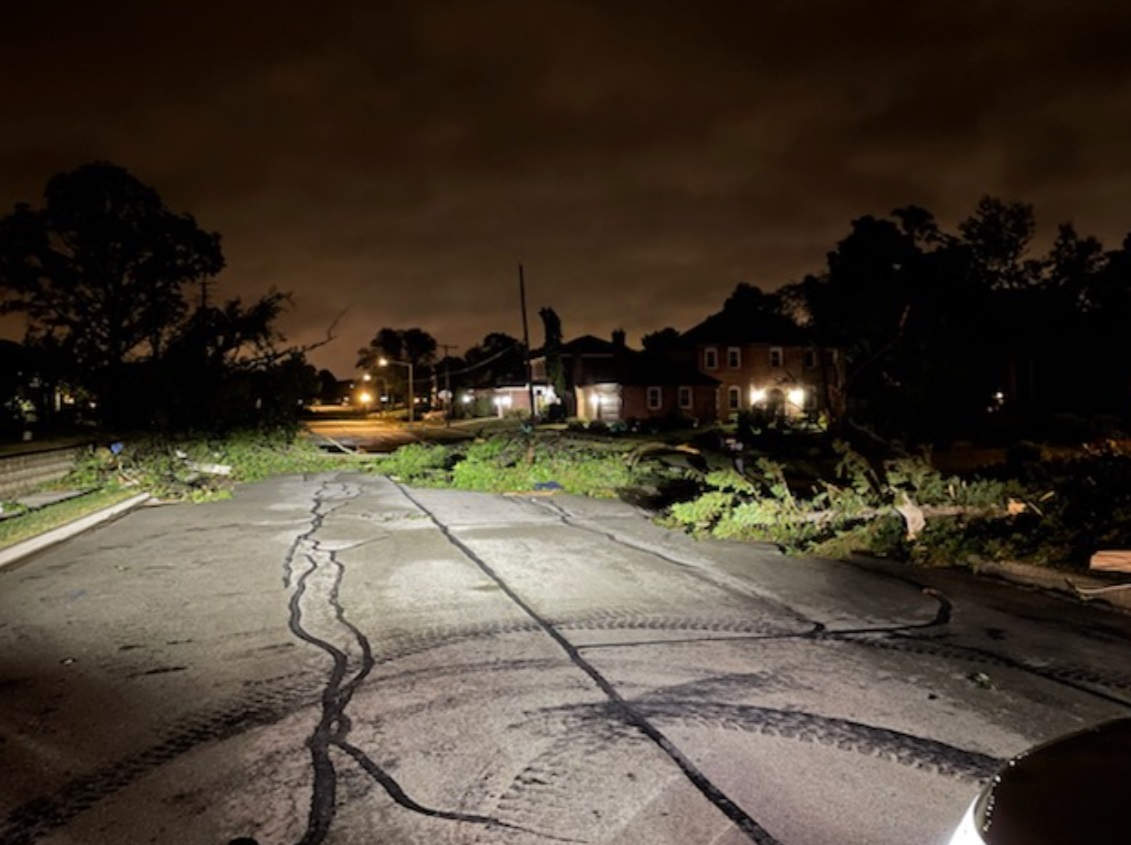 PHOTO Of All The Trees In The Road In Naperville