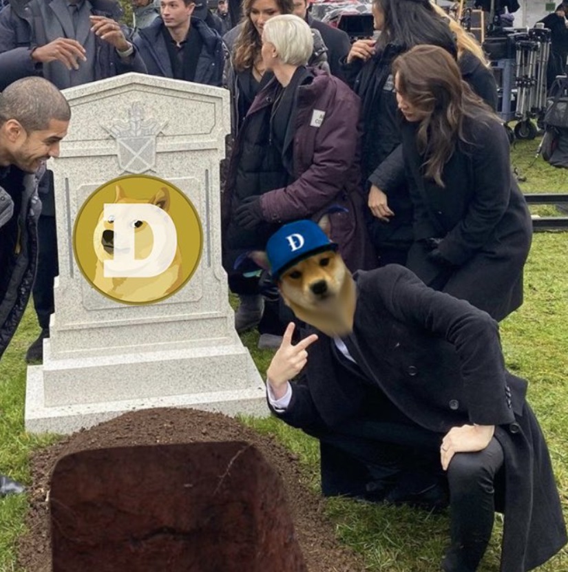 PHOTO Elon Musk Dug Doge Coin's Grave Meme