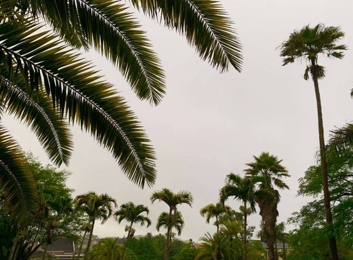 PHOTO Mandeville Florida Looks Unrecognizable From Tropical Storm Elsa