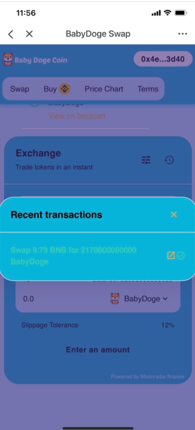 PHOTO Proof Baby Doge Hype Is Real Dude Trades Bitcoin For Millions Of Baby Doge Coin