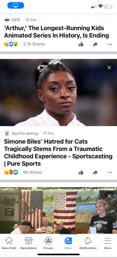 PHOTO Simone Biles Hates Cats