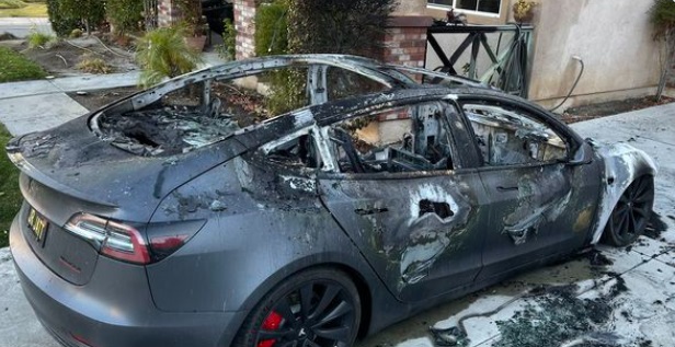 PHOTO Tesla That Burnt Down To The Frame