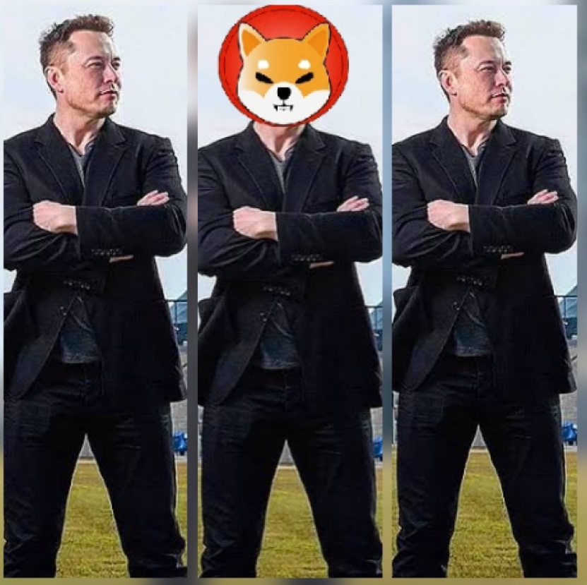 PHOTO The Many Faces Of Elon Musk As Baby Doge