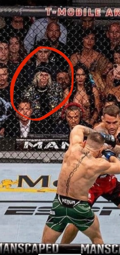 PHOTO Who The Fook Was The Jimmy Goldstein Looking Guy Watching McGregor Poirier Fight Ringside