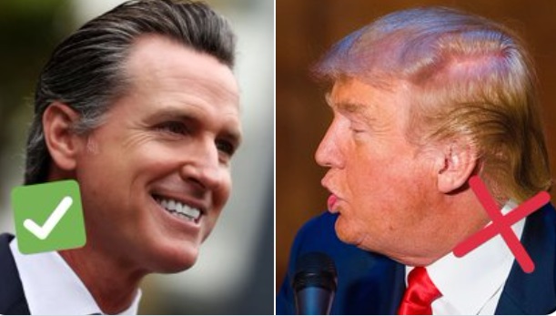 PHOTO Always Vote For The One With The Good Hair Gavin Newsom Donald Trump Meme