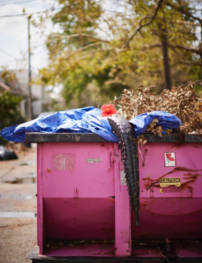 PHOTO Dead Alligator In Pink Dumpster In New Orleans After Hurricane Cleanup