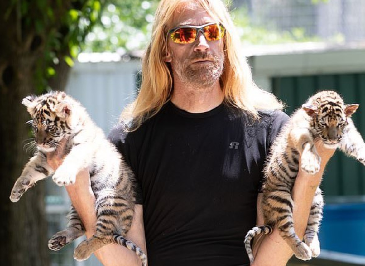 PHOTO Erik Cowie Holding Baby Tigers