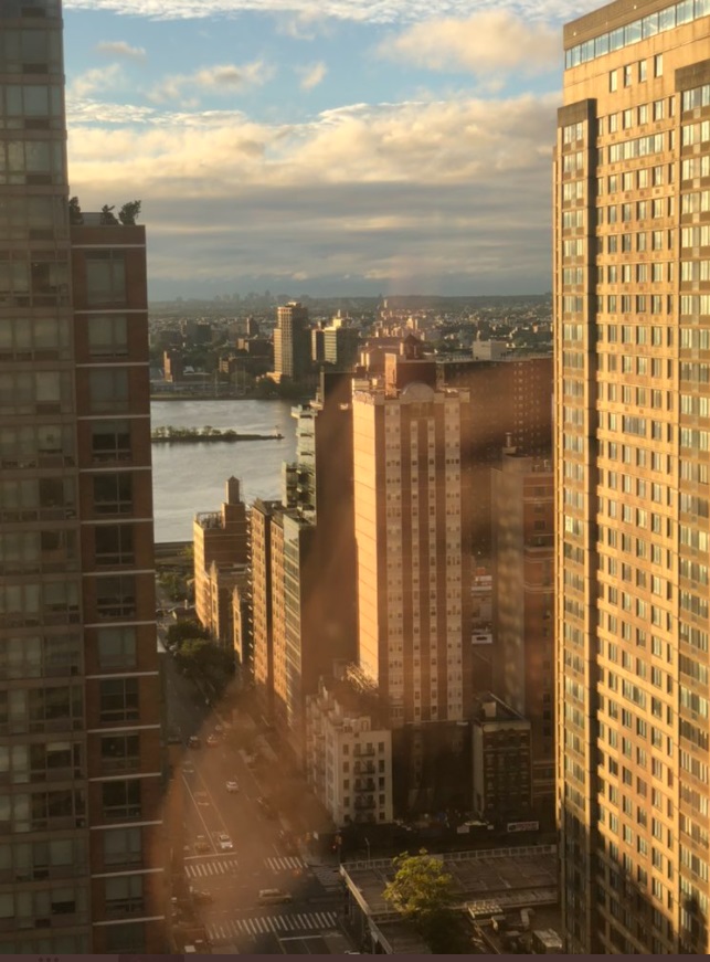 PHOTO New York City Has Dried Out From Flood Waters This Morning And The Sun Is Out