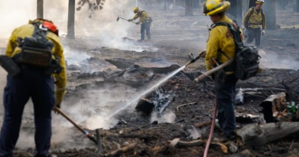 PHOTO Of Blackened Brush From Tahoe Basin That Already Burned