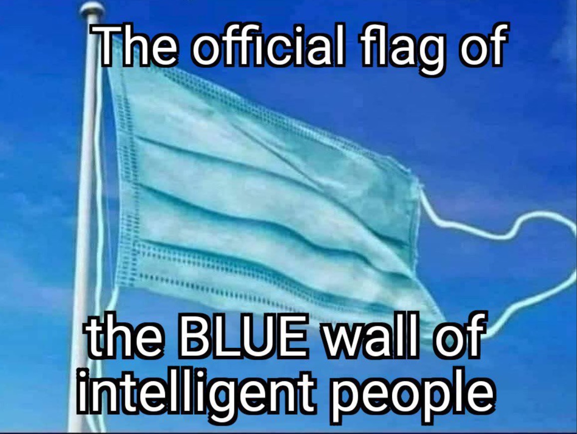 PHOTO The Official Flag Of The Blue Wall Of Intellgient People COVID-19 Medical Face Mask Meme