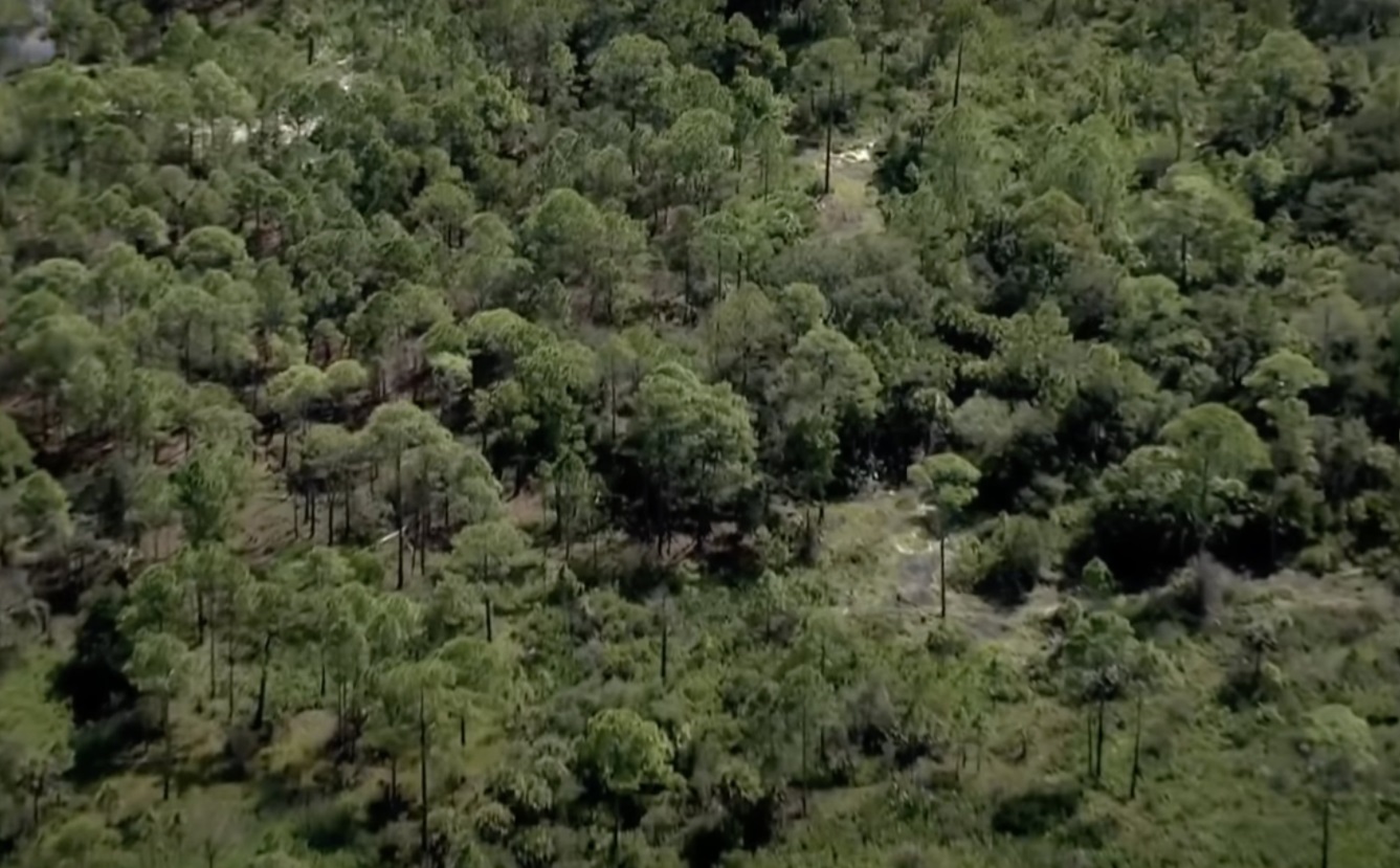 PHOTO Area Where Brian Laundrie's Body Was Recovered Was Not Underwater Since October 7th