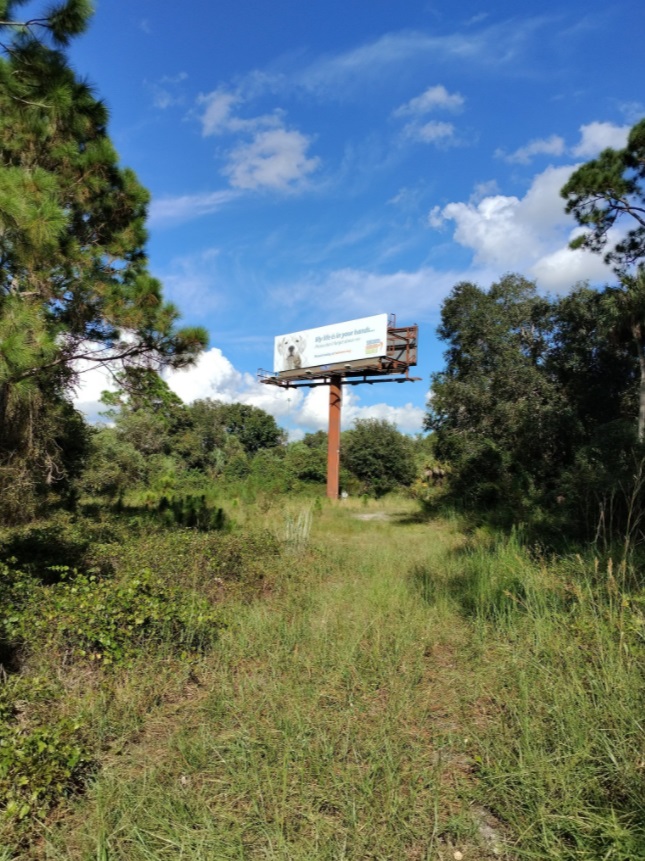 PHOTO Billboard Off Exit 182 In North Port Florida Available To Alert Public About Brian Laundrie