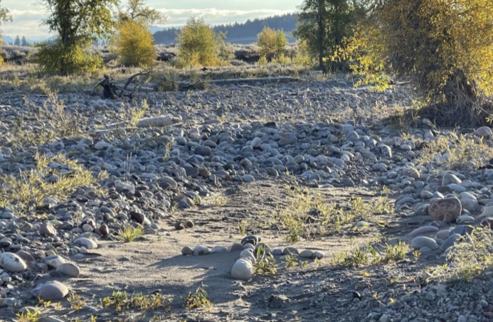 PHOTO Brian Laundrie Did A Bad Job Of Hiding Gabby Petito's Body Out In The Open