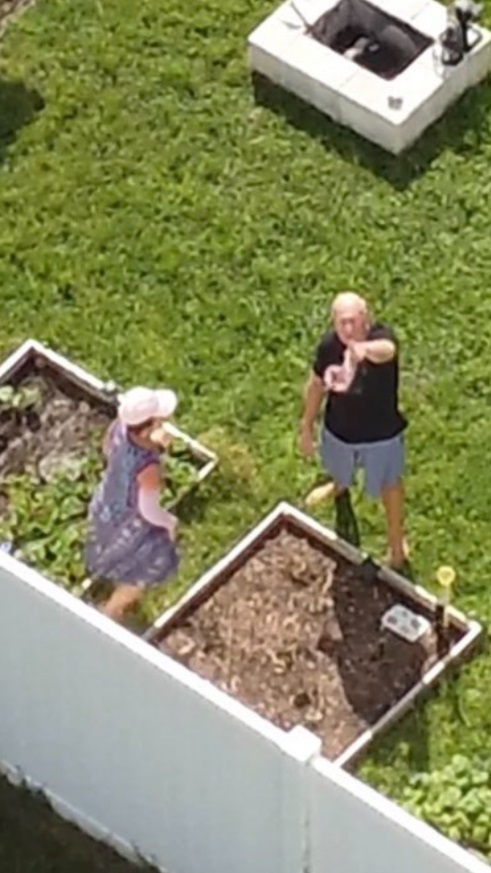 PHOTO Brian Laundrie's Dad Pointing At Police Helictoper Watching Him And His Wife In Their Garden