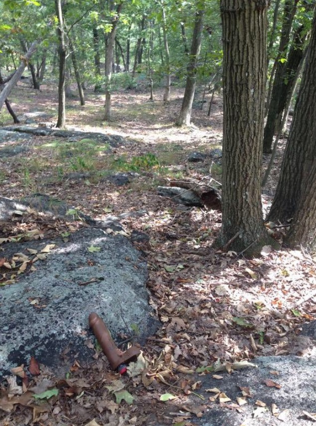 PHOTO One Of The Items Left In The Woods Where Brian Laundrie Remains Were Found Will Shock You