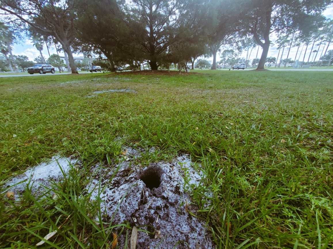 PHOTO Someone Removed The Gabby Petito Memorial At North Port Florida City Hall On Tuesday