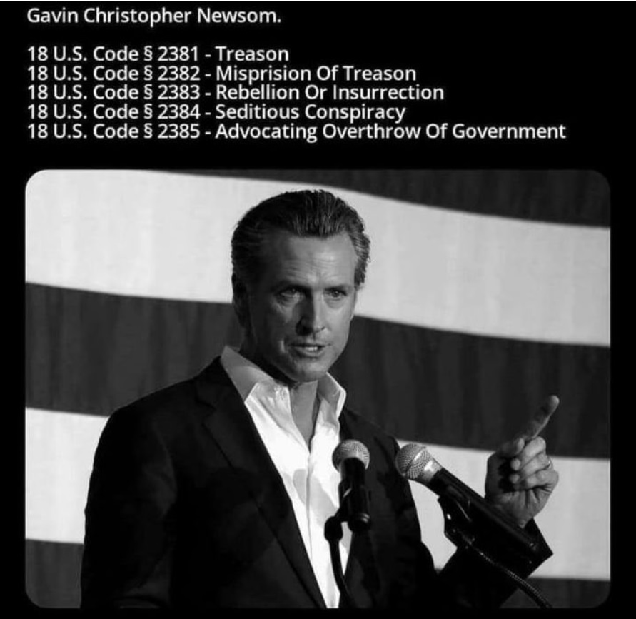 PHOTO All The US Codes Gavin Newsom Has Violated Meme