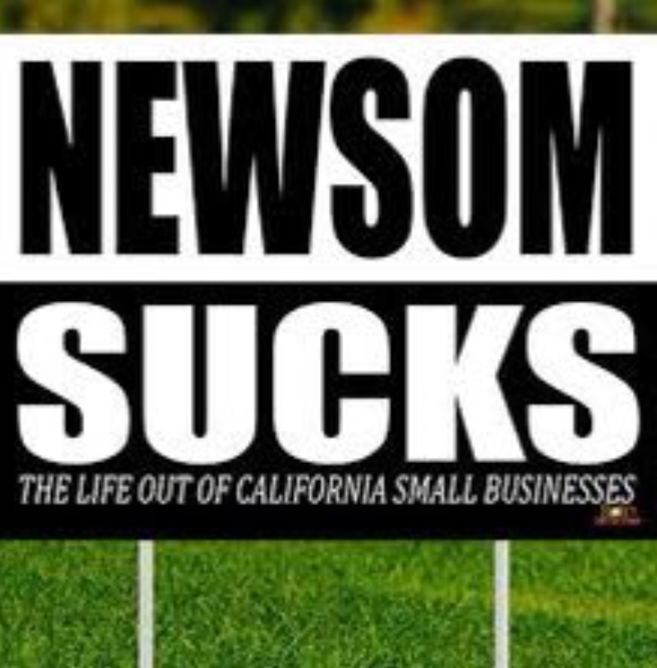PHOTO Gavin Newsom Sucks The Life Out Of California Small Businesses Meme