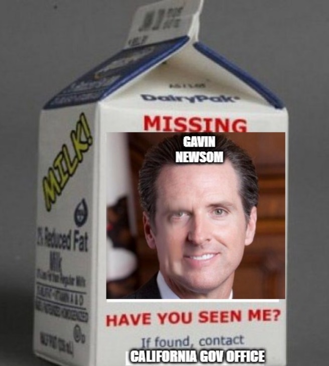Photo Missing Have You Seen Me Gavin Newsom Milk Carton Meme