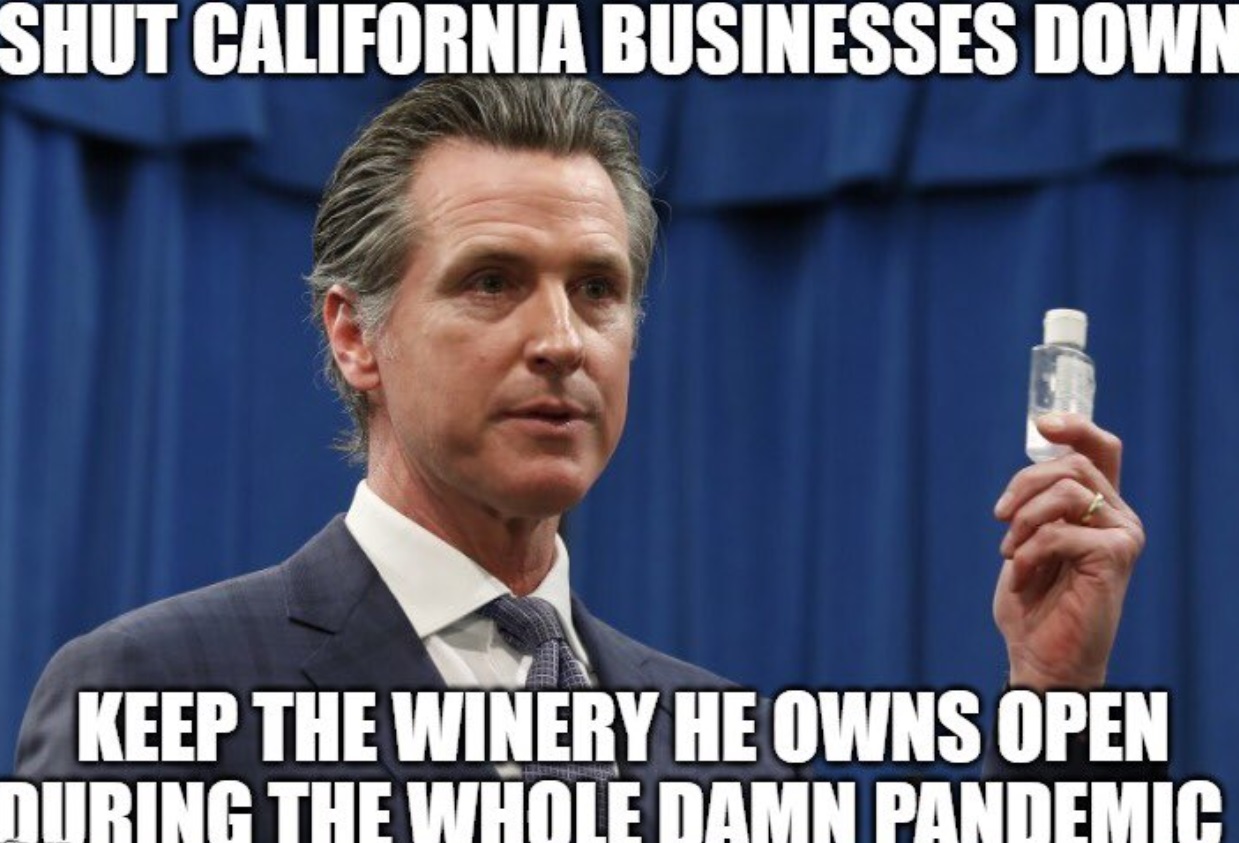 PHOTO Shut California Businesses Down Keep The Winery He Owns Open During The Whole Pandemic Gavin Newsom Meme