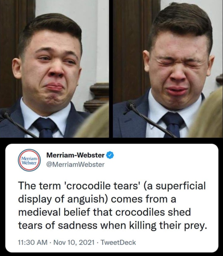 PHOTO The Definiton Of Kyle Rittenhouse's Crocodile Tears