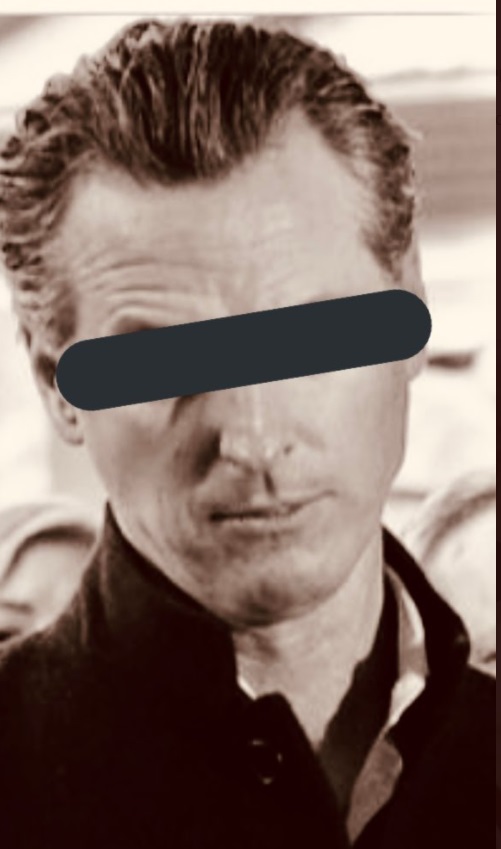 PHOTO The MIA Governor Gavin Newsom Meme