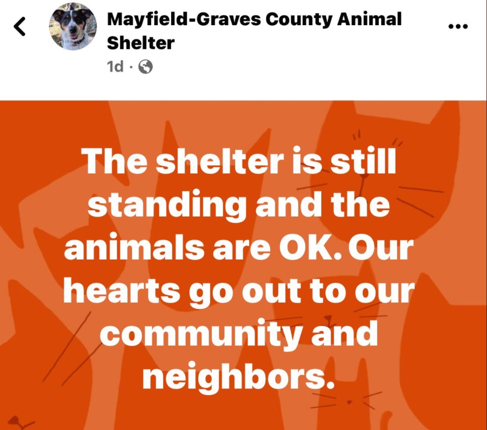 PHOTO Confirmation Is Out That Mayfield Graves County Animal Shelter Is Still Standing And No Animals Were Injured