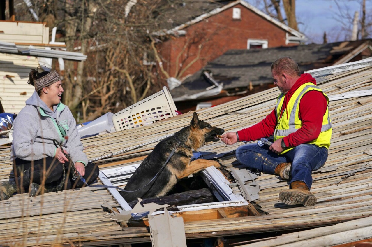 PHOTO Dog Found In Tornado Damage In Mayfield Kentucky And Was Safely Rescued