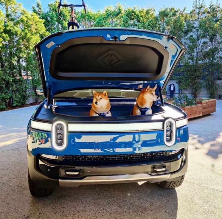 PHOTO Doge Coin Dogs Sitting Inside Rivian Electric Truck Storage Compartment