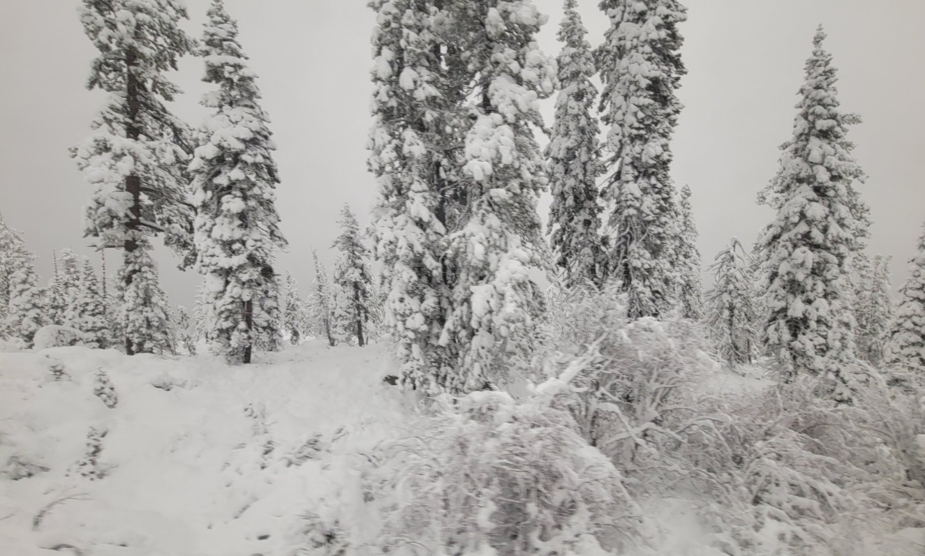 PHOTO Donner Lake Is Covered In Massive Amounts Of Snow For This Time Of Year