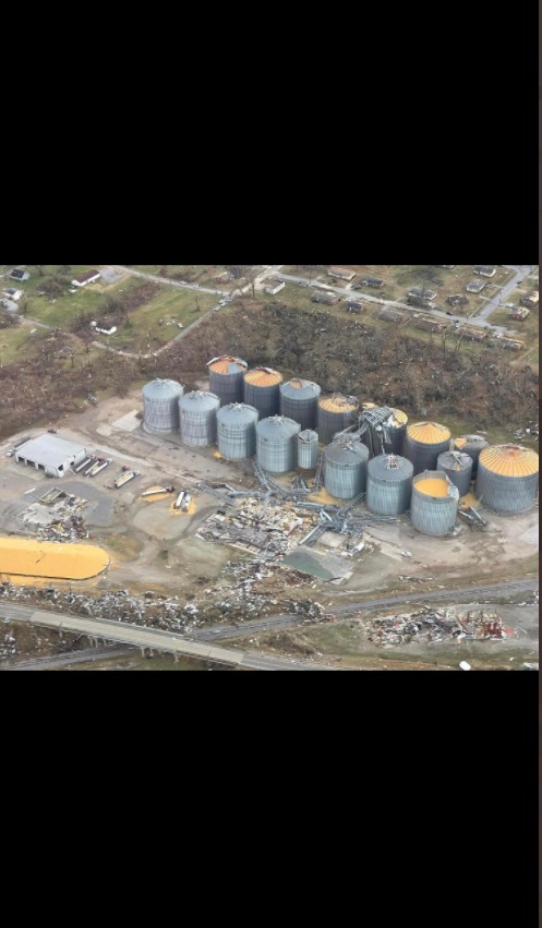 PHOTO Mayfield Corn And Grain Left Nearly Untouched By Tornado Near Storage Where Semi-Truck Was