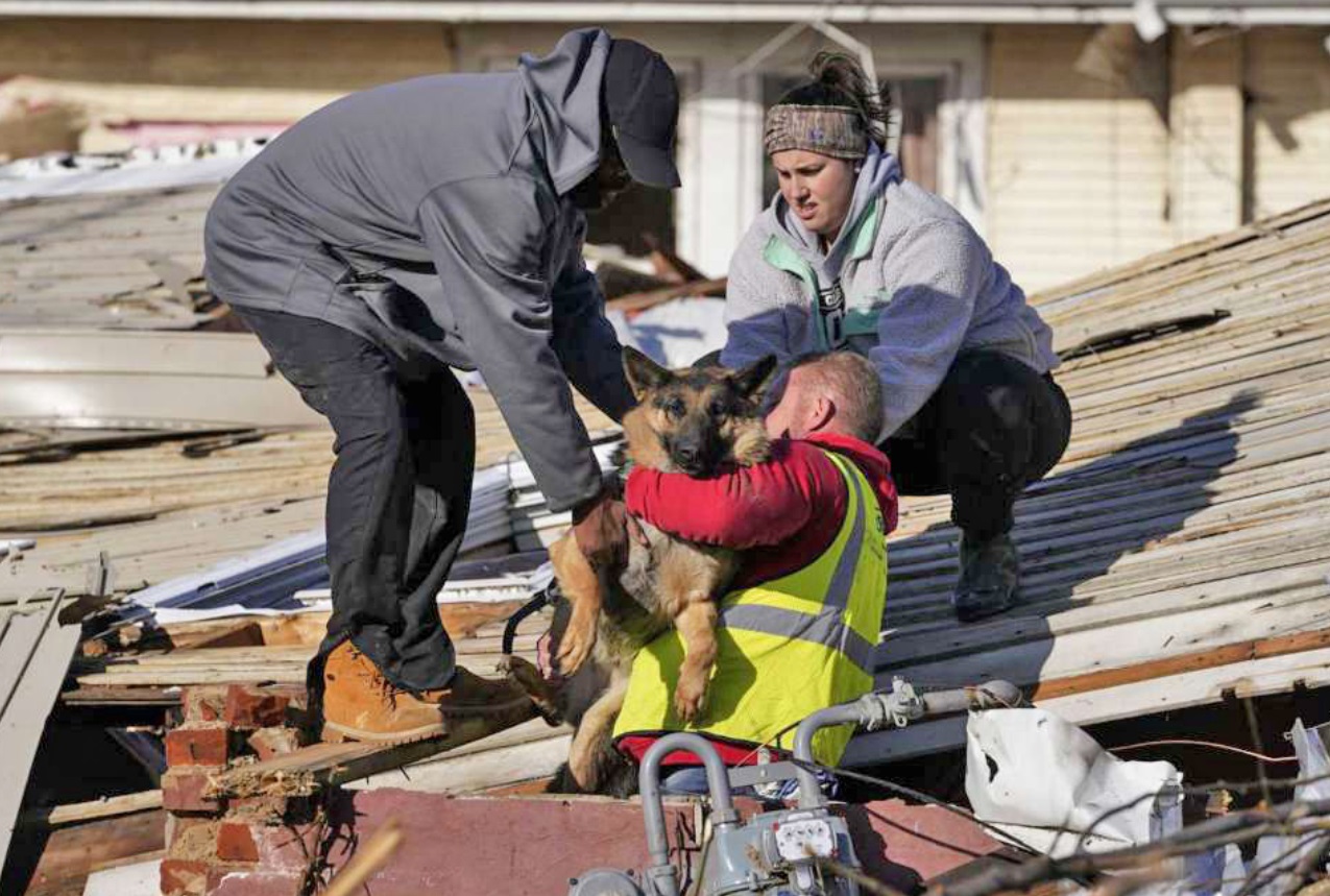 PHOTO Of Dog Being Rescued By Hand Amongst The Wreckage In Mayfield Kentucky