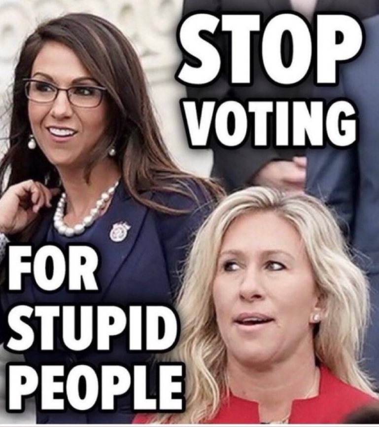 PHOTO Stop Voting For Stupid People Lauren Boebert Meme