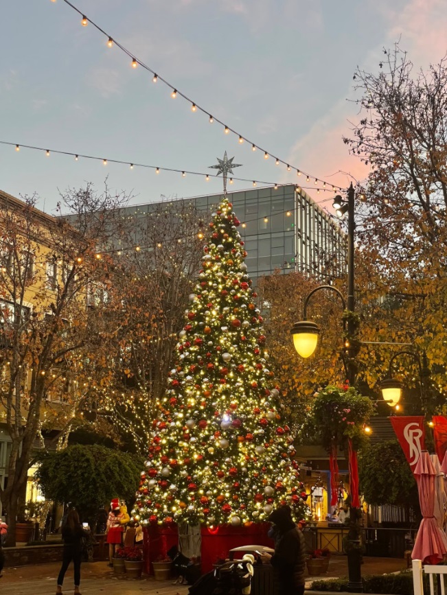 PHOTO The Christmas Tree In Downtown San Jose Looks Amazing At Dusk