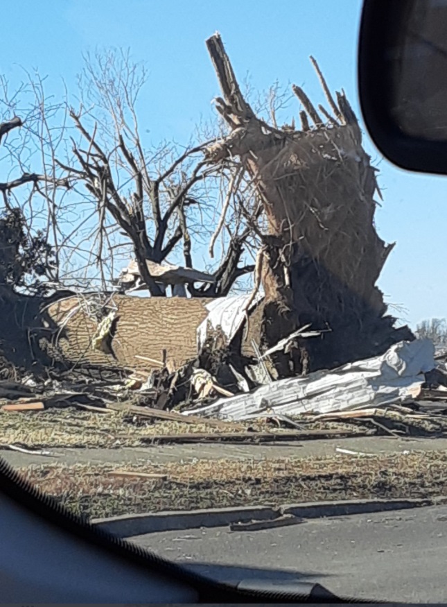 PHOTO Tree Trunk At Least 4 Feet In Diameter Uprooted By Mayfield KY Tornado Shows How Powerful Storm Was