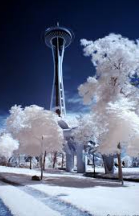 PHOTO Washington Seattle Tower Tokyo Tower Surrounded By Snow As Seattle Got Hammered By Flakes