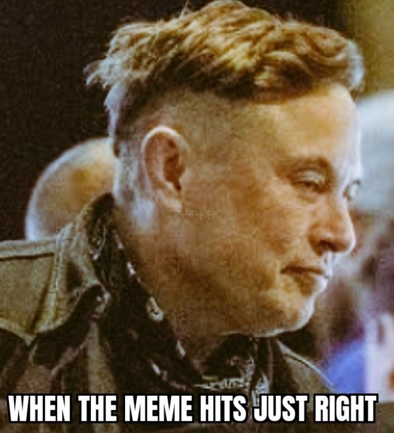 PHOTO When The Meme Hits Just Right Elon Musk Meme